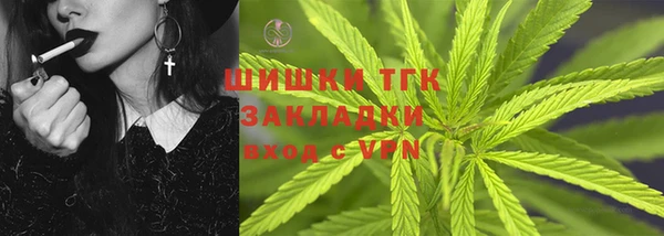 дживик Абинск