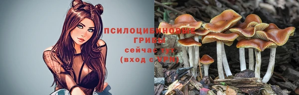 соль курить ск Лабытнанги