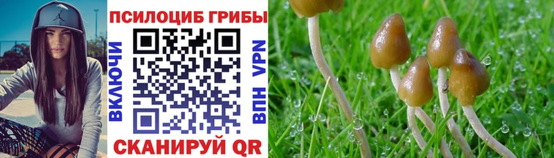 что такое наркотик  Абинск  Псилоцибиновые грибы Psilocybine cubensis 